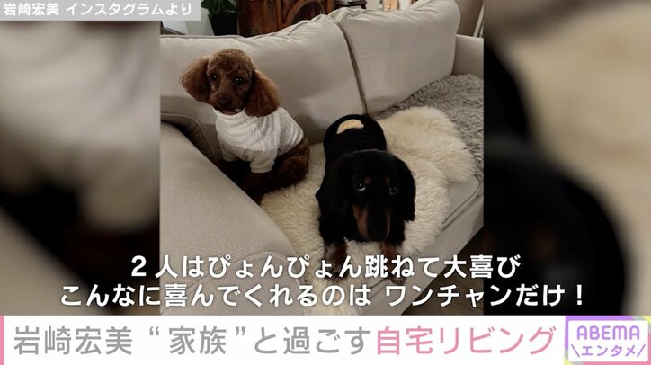 【写真・画像】岩崎宏美（66）再会した愛犬たちと自宅リビングで過ごす様子を公開「こんなに喜んでくれるのはワンチャンだけ！」　2枚目