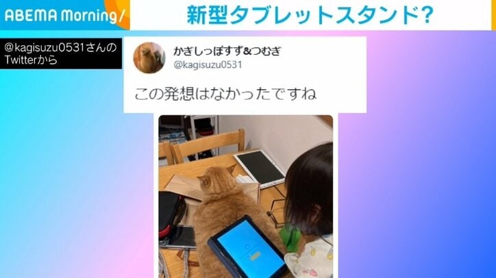 「この発想はなかった」娘が猫の背中をタブレットスタンドに それでも微動だにしない猫