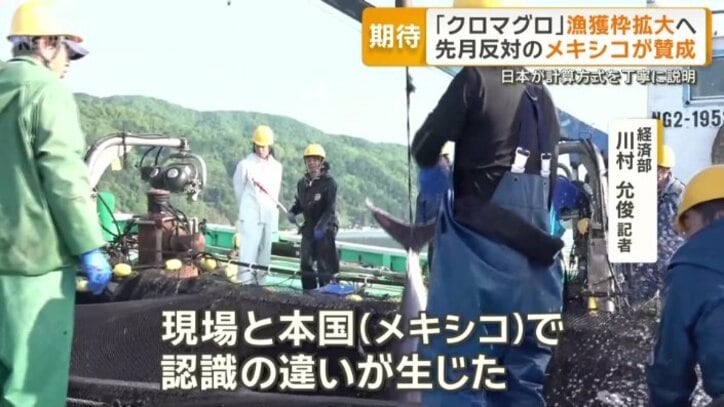 漁獲量を決める複雑な計算方式に…