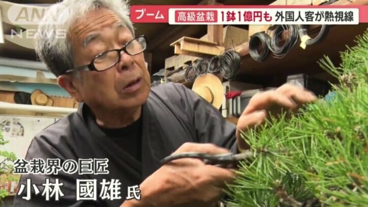 盆栽界の巨匠・小林國雄さん
