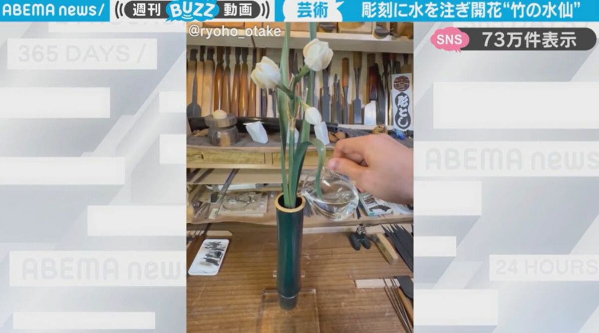 img_d1ad4e9d59853685012f1cfadd