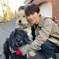 「癒し効果抜群」「確かに沼る」綾野剛の犬を抱きしめ微笑む姿に悶絶の声