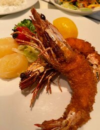 高橋真麻『今日も食欲旺盛』