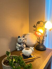 堀ちえみ『今更ですが舌に縫い目が見えない訳』