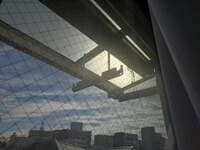 大島奈保美『トラウマ』