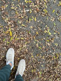 Seiko Darvish『不調の手前で』