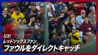 【映像】“ボストンおじさん”ビール片手に強烈なファウルを素手キャッチ