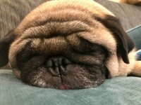 坂上忍『HAPPY　BIRTHDAY』