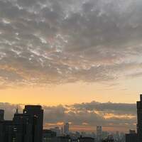 かとうかず子『おはよう御座います』