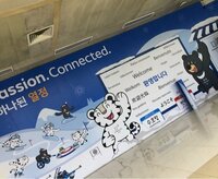 安藤美姫『平昌オリンピック2018 聖火リレー』