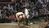 【映像】勝った力士に突如異変 負けた力士が咄嗟の行動