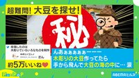 【映像】リアルすぎる“木彫りの大豆”