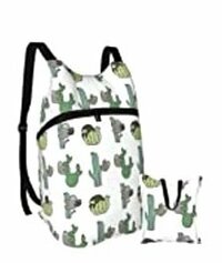 北斗晶『届いたリュックが…』