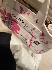 高橋愛『春だ、ね』