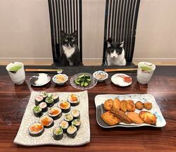  藤あや子『成城石井』で目が釘付けになり購入した品で夕食「高級感が出ている」「美味しそう」の声 