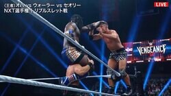 「なんてこった！」2.5メートルから“真っ逆さま落下”で悶絶…命綱無しの“リアル・フリーフォール”に会場騒然「狂ってる」