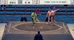 「力士がお姫様みたいに」取組中にほっこりハプニング発生 “髷とさがり”の意外なコラボに反響続々