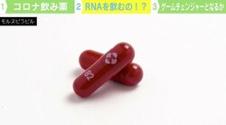 コロナ“飲み薬”はゲームチェンジャー？ 医師が語る注意点「重症化する前に投薬を」