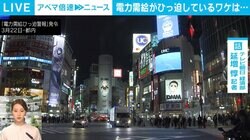 今夏の電力ひっ迫に備え“大ベテラン”の火力発電所を再稼働へ 揚水発電が“切り札”も「建設にどれだけ費用がかかるか」