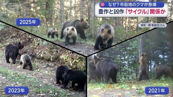 2年ごとに映った親子4頭