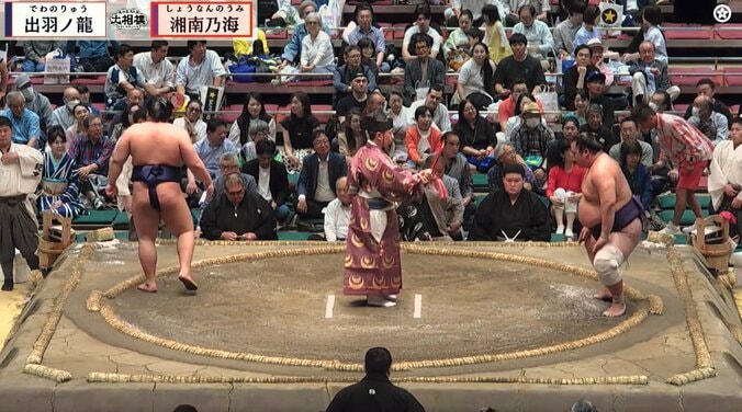 「目立ちすぎます」大相撲で突如、向正面を横切るタレントの姿にファン驚き 3枚目