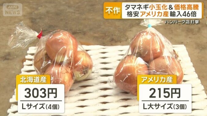 北海道産タマネギとアメリカ産の違い