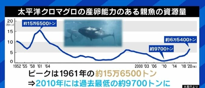 せっかく獲れたクロマグロを海に戻さなければならない現実…専門家「漁獲量の安定のため、今はまだ我慢しなければならない」 8枚目