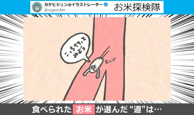 お米探検隊