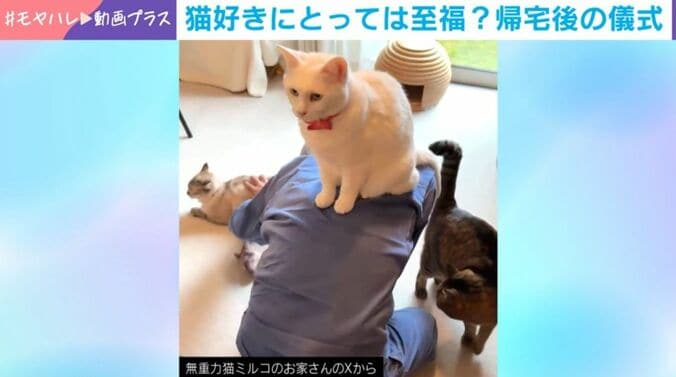 儀式の様子