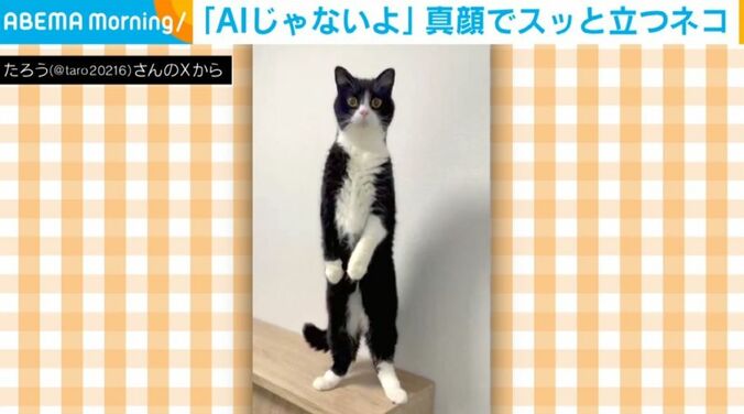たろうくん