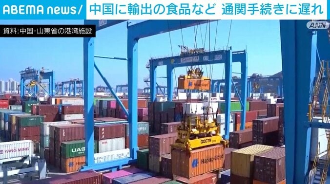 中国・山東省の港湾施設（資料）