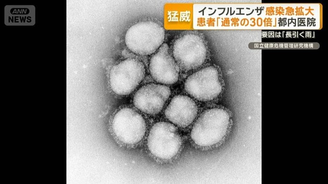 インフルエンザ感染急拡大　患者「通常の20～30倍」都内医院　「長引く雨」一因か 1枚目