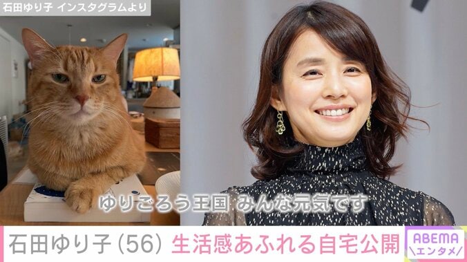 石田ゆり子（56）、ペットたちが自由気ままに過ごす生活感あふれる自宅を公開「全てが絵になる」 4枚目