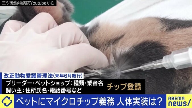 犬猫の殺処分、マイクロチップの埋め込み義務化だけでは抑制できない?背景にある“ペットショップ問題”とは 1枚目