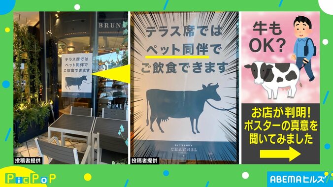 牛も同伴OK!? お店のユニークな“ポスター”が話題 投稿主「1頭なら入りそう」 1枚目