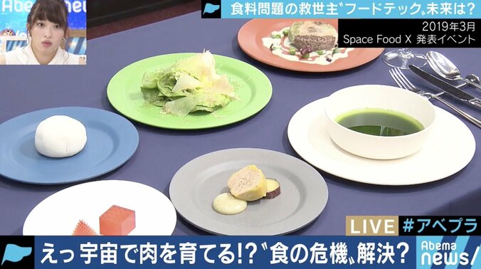 食糧問題解決の切り札に!?世界で開発が進む「代替肉」「培養肉」の世界 4枚目