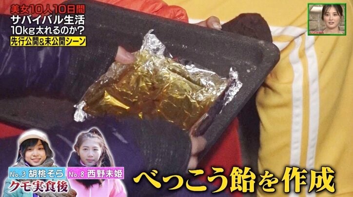 ナスD指揮の元、アイドル&美女10人がサバイバル! 蜘蛛やカエルを食べて…生き延びる姿に視聴者から反響