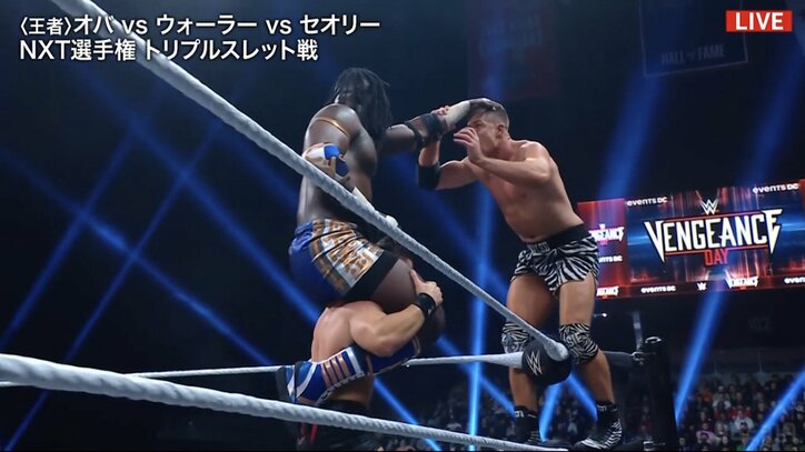 【映像】命綱無しの“リアル・フリーフォール”に悶絶