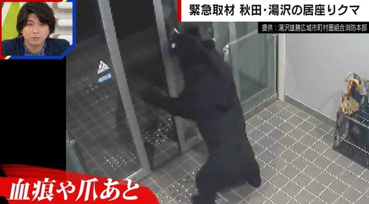 【写真・画像】クマが民家居座り、4人を襲撃…なぜ捕獲に6日間も？ハンターが言及「家の中に入ると緊急銃猟・銃があっても安全ではない」