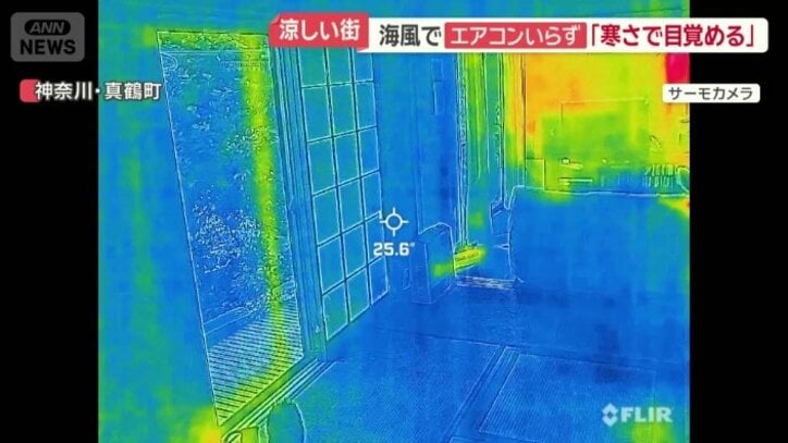 家の中でサーモカメラを当ててみると…