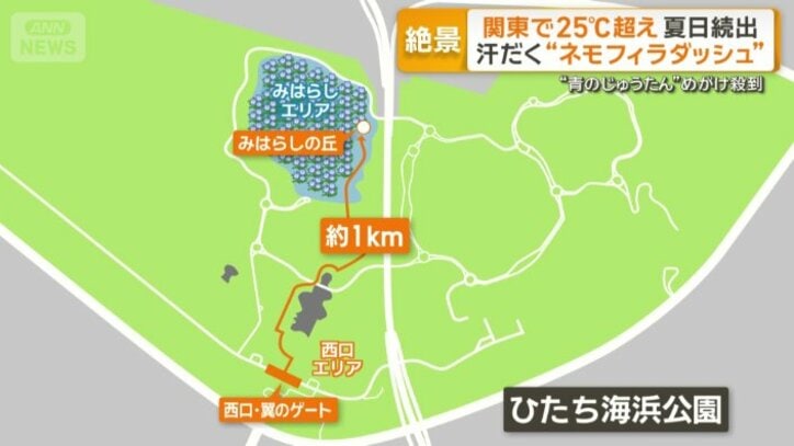 ゲートから丘まではおよそ1キロ