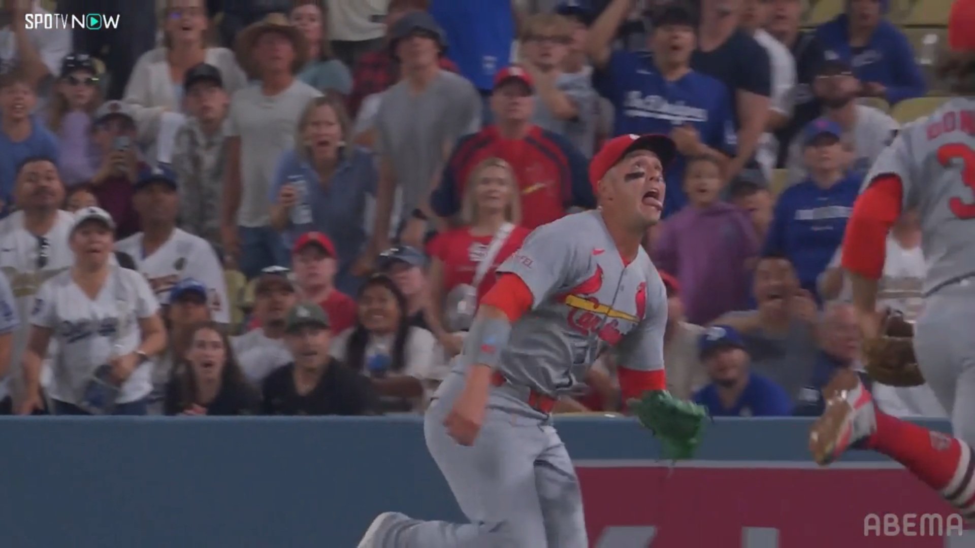 【写真・画像】 1枚目