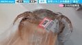 「な、なぜ？」“おつとめ品”のカニがパックを破ってまさかの“蘇生”…専門店が見解 類似の報告例も