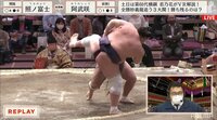 【映像】照ノ富士に土がついた一番