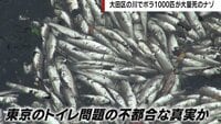 【映像】川に流れ出る“茶色く泡立った”下水の様子