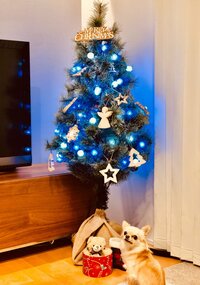 本田朋子『クリスマスツリー』