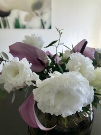 稲垣吾郎『スナック・ゴロー』