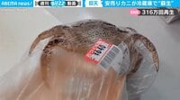 「な、なぜ？」“おつとめ品”のカニがパックを破ってまさかの“蘇生”…専門店が見解 類似の報告例も 