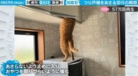 【映像】珍行動の一部始終