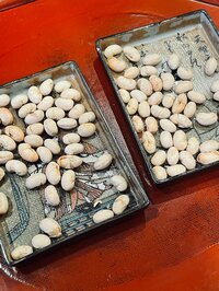 小泉貴之『親の心子知らず』